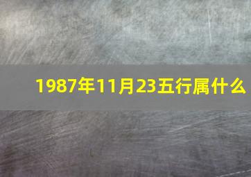 1987年11月23五行属什么