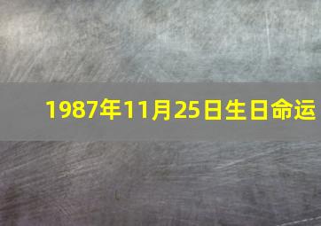 1987年11月25日生日命运