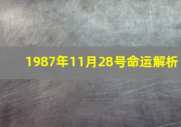 1987年11月28号命运解析