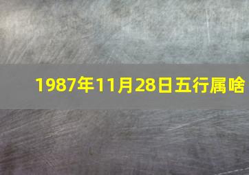 1987年11月28日五行属啥