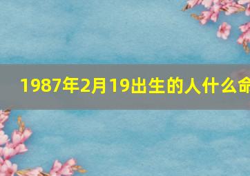 1987年2月19出生的人什么命