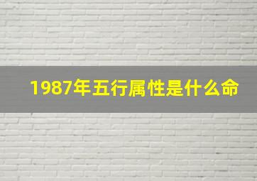 1987年五行属性是什么命