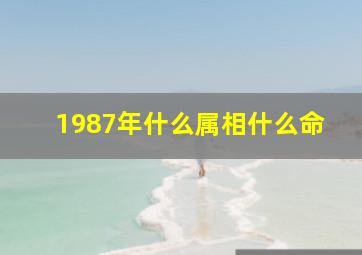 1987年什么属相什么命