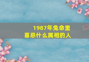 1987年兔命里喜忌什么属相的人