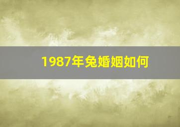 1987年兔婚姻如何