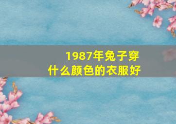 1987年兔子穿什么颜色的衣服好