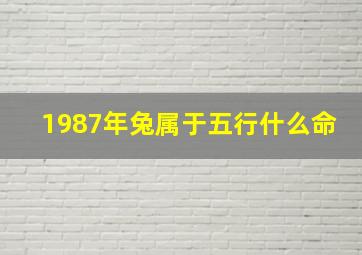 1987年兔属于五行什么命