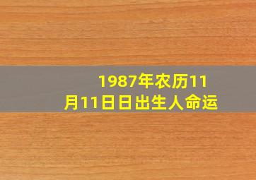 1987年农历11月11日日出生人命运