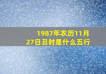 1987年农历11月27日丑时是什么五行