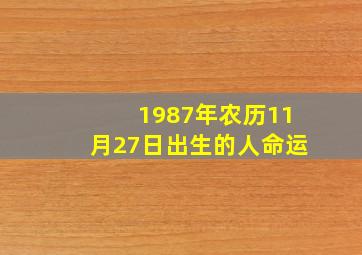 1987年农历11月27日出生的人命运