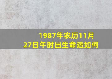 1987年农历11月27日午时出生命运如何