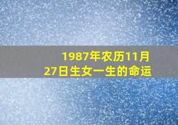 1987年农历11月27日生女一生的命运