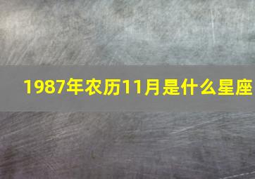 1987年农历11月是什么星座