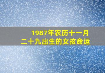 1987年农历十一月二十九出生的女孩命运