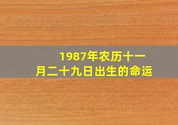 1987年农历十一月二十九日出生的命运