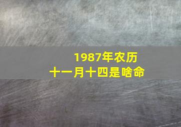 1987年农历十一月十四是啥命