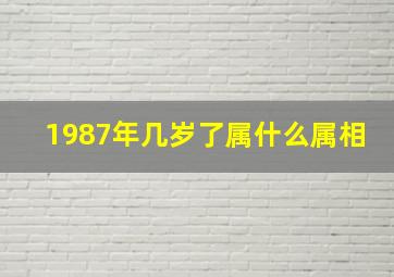 1987年几岁了属什么属相