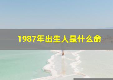 1987年出生人是什么命