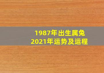 1987年出生属兔2021年运势及运程