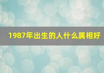 1987年出生的人什么属相好