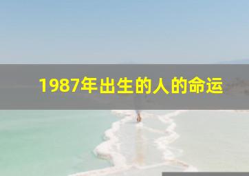 1987年出生的人的命运