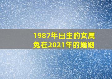 1987年出生的女属兔在2021年的婚姻