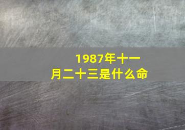 1987年十一月二十三是什么命