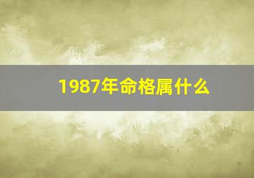 1987年命格属什么