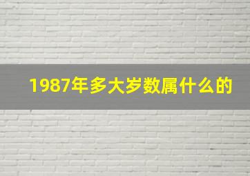 1987年多大岁数属什么的