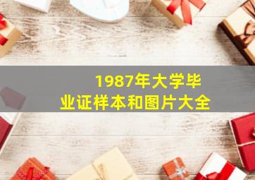 1987年大学毕业证样本和图片大全