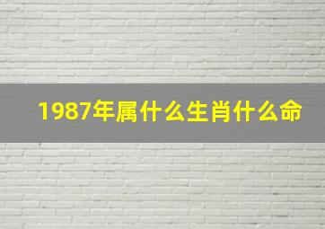 1987年属什么生肖什么命