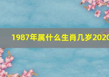 1987年属什么生肖几岁2020