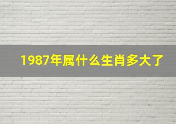 1987年属什么生肖多大了