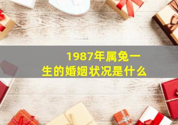 1987年属兔一生的婚姻状况是什么