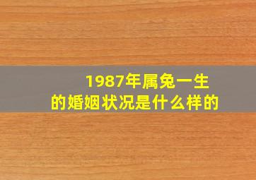 1987年属兔一生的婚姻状况是什么样的