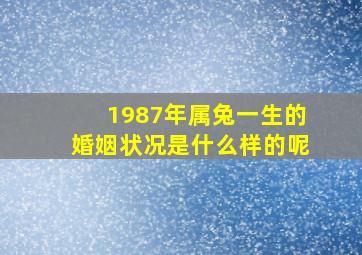 1987年属兔一生的婚姻状况是什么样的呢