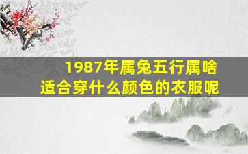 1987年属兔五行属啥适合穿什么颜色的衣服呢