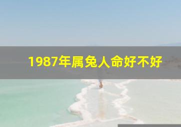 1987年属兔人命好不好