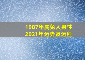 1987年属兔人男性2021年运势及运程