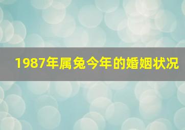 1987年属兔今年的婚姻状况