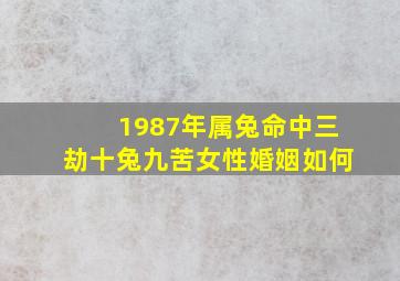 1987年属兔命中三劫十兔九苦女性婚姻如何