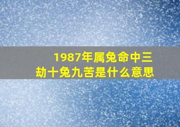 1987年属兔命中三劫十兔九苦是什么意思