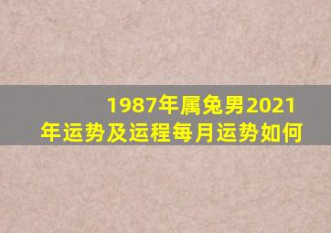 1987年属兔男2021年运势及运程每月运势如何