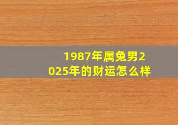 1987年属兔男2025年的财运怎么样