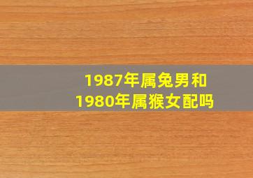 1987年属兔男和1980年属猴女配吗