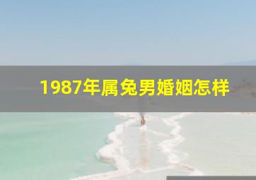 1987年属兔男婚姻怎样