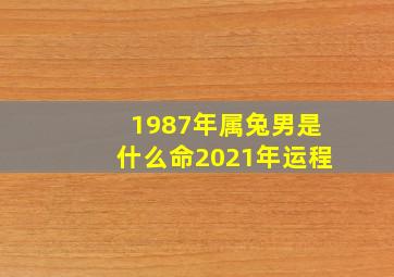 1987年属兔男是什么命2021年运程