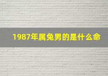 1987年属兔男的是什么命