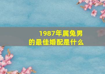 1987年属兔男的最佳婚配是什么