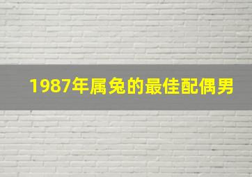 1987年属兔的最佳配偶男